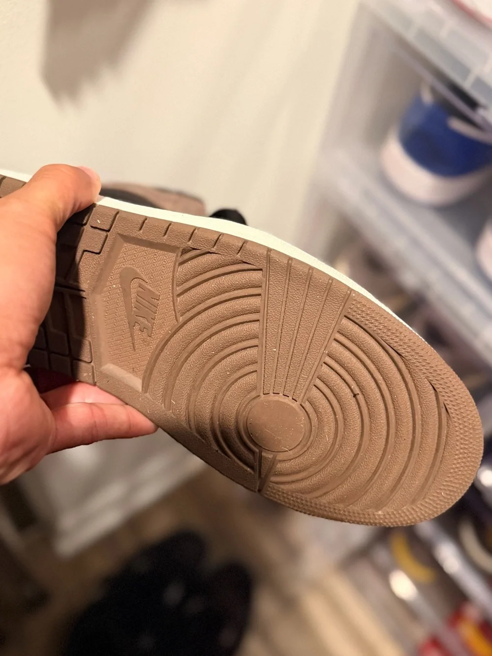 Jordan 1 palomino